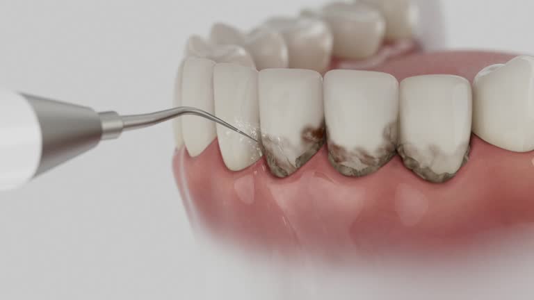 Reliable Dental contractor in St. Matthews, SC by Dentist Open Now